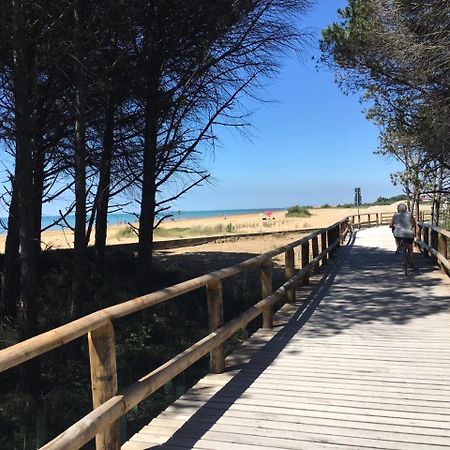 Appartamenti Livenza Bibione Exterior foto